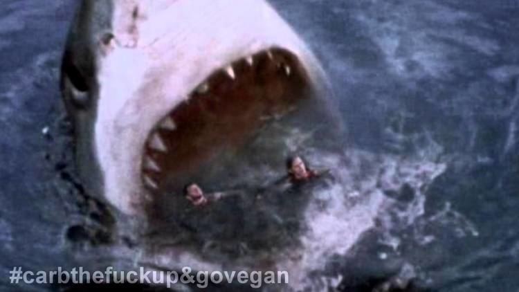 Human Prey Giant Shark Attack Megaloden Eats Human Prey Off Australian Coast