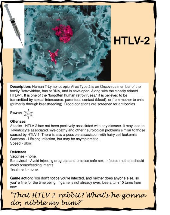 Human T-lymphotropic virus 2 httpswebstanfordedugroupvirusprion2005pri