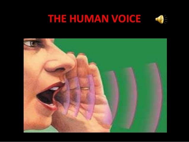 Human voice The human voice