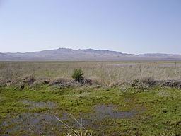 Humboldt Salt Marsh httpsuploadwikimediaorgwikipediacommonsthu
