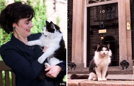 Humphrey (cat) Ten years after the Humphrey hooha a cat returns to Downing Street