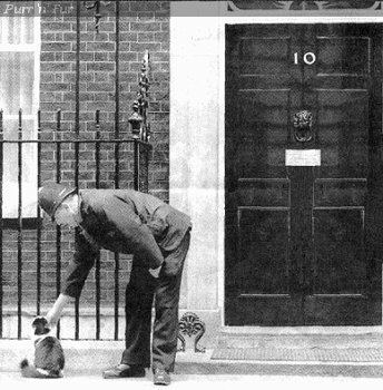 Humphrey (cat) PurrnFur UK Downing Street Cats Larry Humphrey Sybil