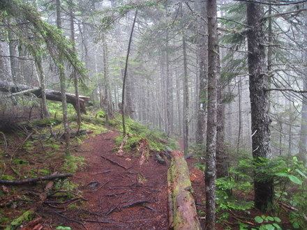 Hundred-Mile Wilderness 100 Mile Wilderness Trip Report Section Hiking the Appalachian