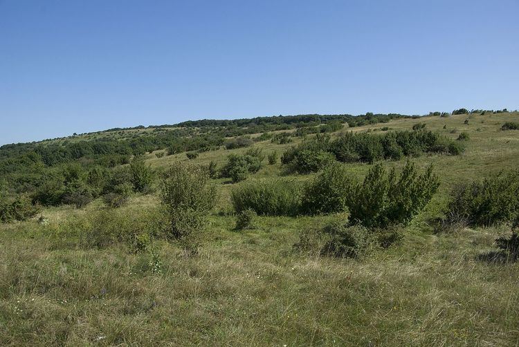 Hundsheimer Berg (nature reserve)