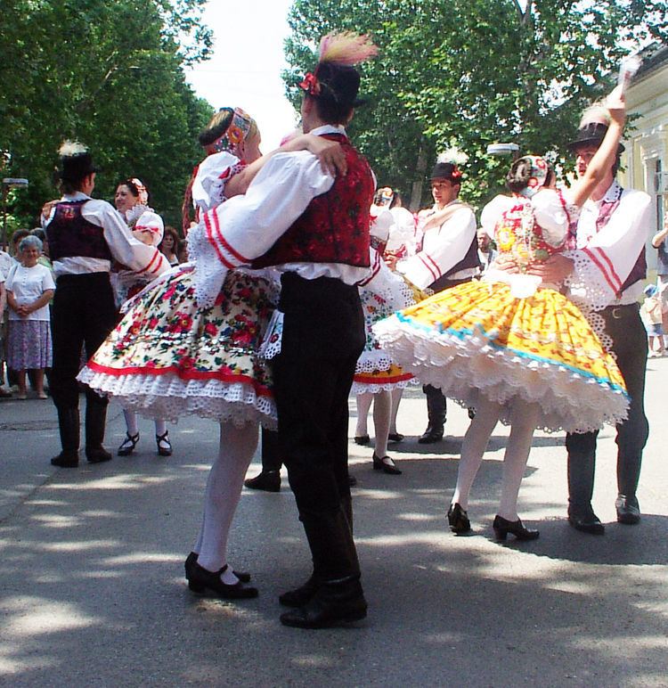Hungarians in Serbia