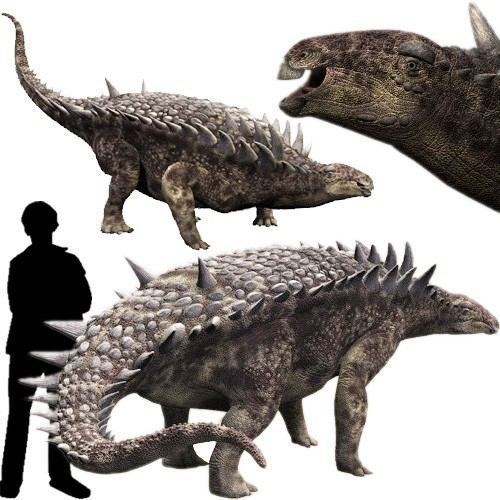 Hungarosaurus Hungarosaurus Pictures amp Facts The Dinosaur Database