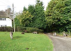Hungerford, Hampshire httpsuploadwikimediaorgwikipediacommonsthu
