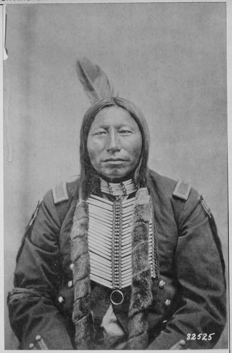 Hunkpapa FileCrow King a Hunkpapa Sioux halflength wearing part of a