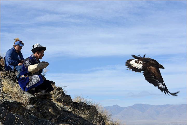 Hunting with eagles A dying form of hunting with eagles could be resurrected