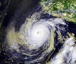 Hurricane Adolph httpsuploadwikimediaorgwikipediacommonsthu
