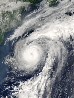 Hurricane Alex (2004) httpsuploadwikimediaorgwikipediacommonsthu