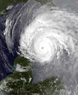 Hurricane Allen Hurricane Allen Wikipedia