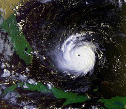 Hurricane Andrew httpsuploadwikimediaorgwikipediacommonsthu