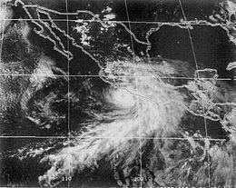 Hurricane Calvin (1993) httpsuploadwikimediaorgwikipediacommonsthu