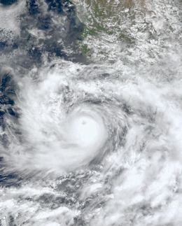 Hurricane Carlotta (2000) httpsuploadwikimediaorgwikipediacommonsthu