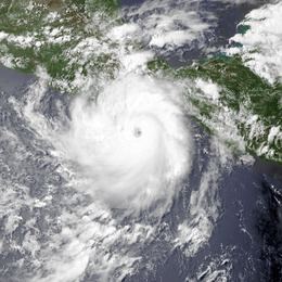 Hurricane Carlotta (2012) httpsuploadwikimediaorgwikipediacommonsthu