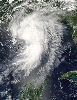 Hurricane Cindy (2005) httpsuploadwikimediaorgwikipediacommonsthu