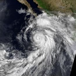 Hurricane Darby (1992) httpsuploadwikimediaorgwikipediacommonsthu