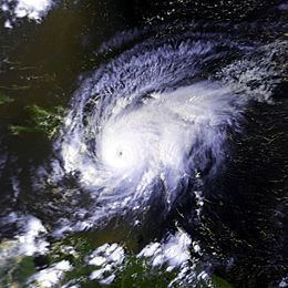 Hurricane David httpsuploadwikimediaorgwikipediacommonsthu