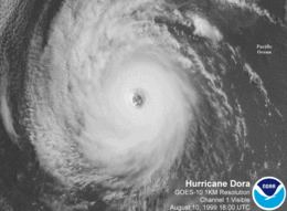 Hurricane Dora (1999) httpsuploadwikimediaorgwikipediacommonsthu
