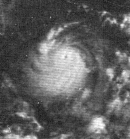 Hurricane Edith (1971) httpsuploadwikimediaorgwikipediacommonsthu