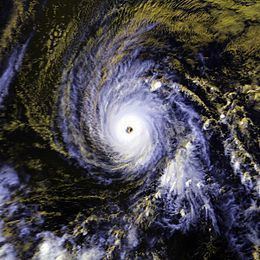 Hurricane Estelle (1986) httpsuploadwikimediaorgwikipediacommonsthu