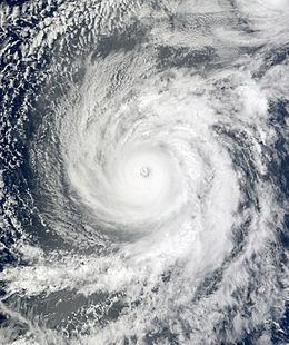 Hurricane Felicia (2009) httpsuploadwikimediaorgwikipediacommonsthu