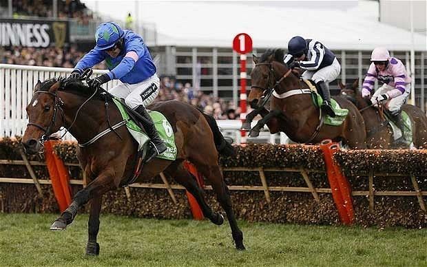 Hurricane Fly Hurricane Fly Irish Horse of the Year Check out VGTipscouk