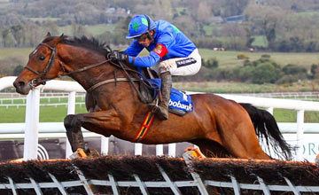 Hurricane Fly Punchestown Hurricane pretty fly for an old guy UK Bloodstock News