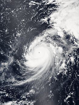 Hurricane Genevieve (2014) httpsuploadwikimediaorgwikipediacommonsthu