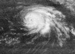 Hurricane Ginger httpsuploadwikimediaorgwikipediacommonsthu