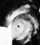 Hurricane Gladys (1964) httpsuploadwikimediaorgwikipediacommons99