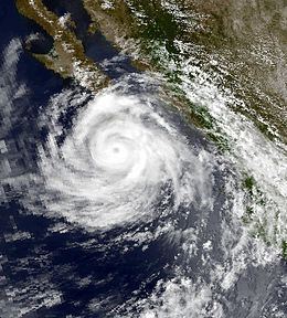 Hurricane Henriette (1995) httpsuploadwikimediaorgwikipediacommonsthu
