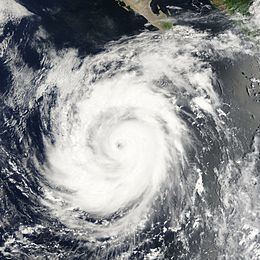 Hurricane Ileana (2006) httpsuploadwikimediaorgwikipediacommonsthu