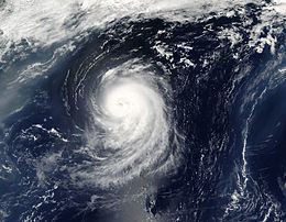 Hurricane Irene (2005) httpsuploadwikimediaorgwikipediacommonsthu
