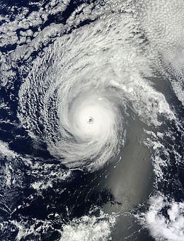 Hurricane Iselle (2014) httpsuploadwikimediaorgwikipediacommonsthu