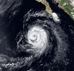 Hurricane Ismael (1983) httpsuploadwikimediaorgwikipediacommonsthu