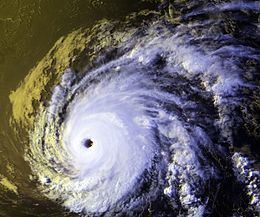 Hurricane John (1994) httpsuploadwikimediaorgwikipediacommonsthu