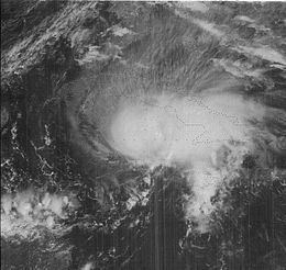 Hurricane Katrina (1981) httpsuploadwikimediaorgwikipediacommonsthu
