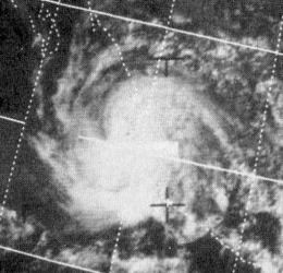 Hurricane Lily (1971) httpsuploadwikimediaorgwikipediacommonsthu