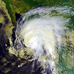 Hurricane Marty (2003) httpsuploadwikimediaorgwikipediacommonsthu