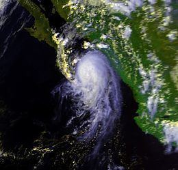 Hurricane Newton (1986) httpsuploadwikimediaorgwikipediacommonsthu