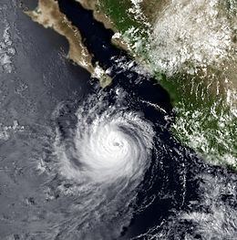 Hurricane Norbert (1984) httpsuploadwikimediaorgwikipediacommonsthu