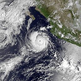 Hurricane Norma (1981) httpsuploadwikimediaorgwikipediacommonsthu