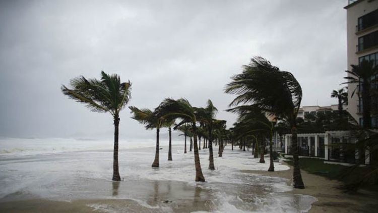 Hurricane Odile Hurricane Odile makes landfall in Baja California Fox News