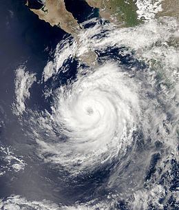 Hurricane Otis (2005) httpsuploadwikimediaorgwikipediacommonsthu