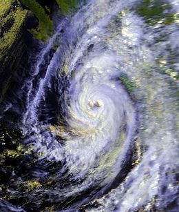 Hurricane Paine (1986) httpsuploadwikimediaorgwikipediacommonsthu