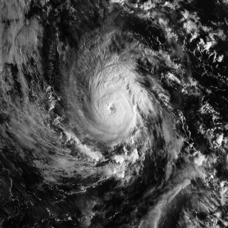 Hurricane Paul (2006) httpsuploadwikimediaorgwikipediacommons22