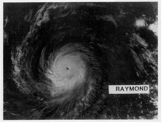 Hurricane Raymond (1989)
