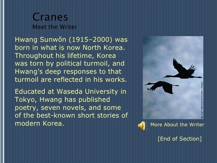 Hwang Sun-won Cranes